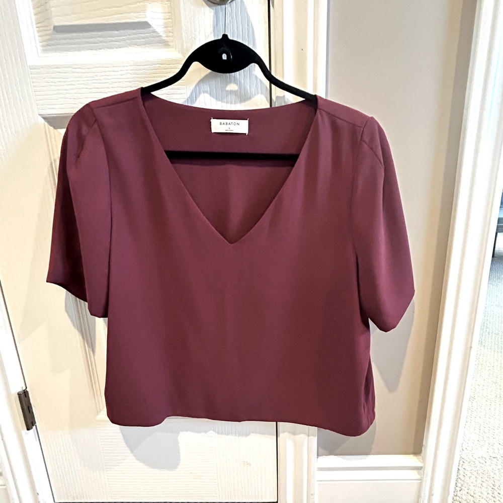 Babaton V-Neck Short Sleeve Top in Mauve